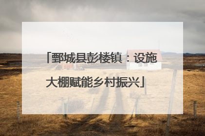 鄄城县彭楼镇：设施大棚赋能乡村振兴