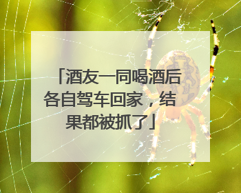 酒友一同喝酒后各自驾车回家，结果都被抓了