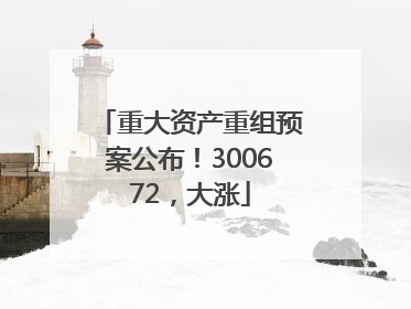 重大资产重组预案公布！300672，大涨