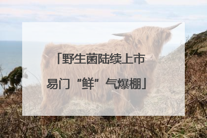 野生菌陆续上市 易门“鲜”气爆棚