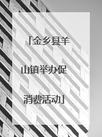 金乡县羊山镇举办促消费活动