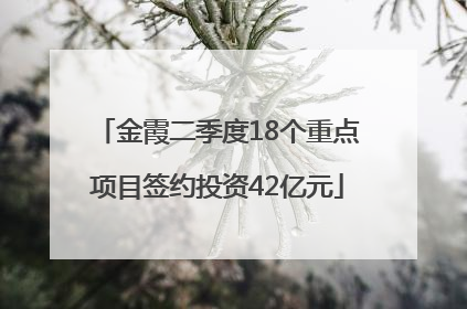 金霞二季度18个重点项目签约投资42亿元