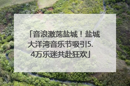 音浪激荡盐城！盐城大洋湾音乐节吸引5.4万乐迷共赴狂欢