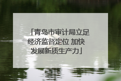 青岛市审计局立足经济监督定位 加快发展新质生产力