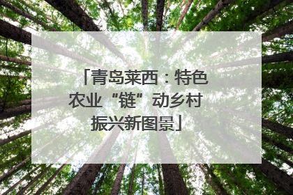 青岛莱西：特色农业“链”动乡村振兴新图景
