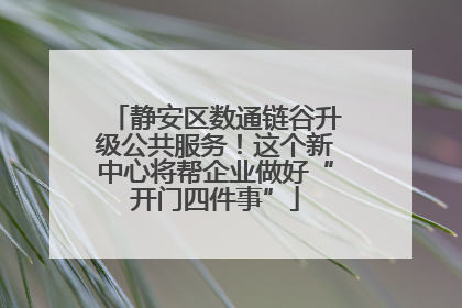 静安区数通链谷升级公共服务！这个新中心将帮企业做好“开门四件事”