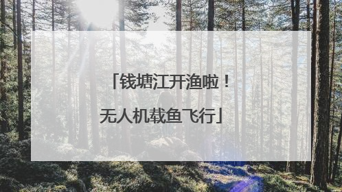 钱塘江开渔啦！无人机载鱼飞行