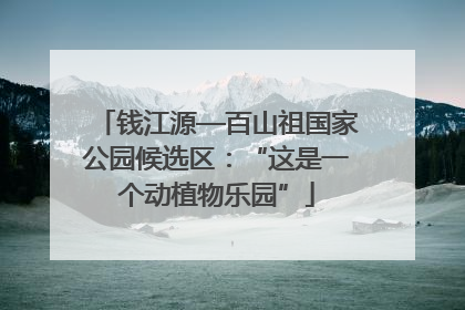 钱江源—百山祖国家公园候选区：“这是一个动植物乐园”