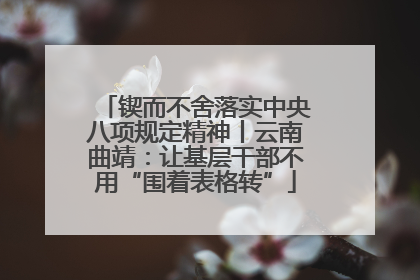 锲而不舍落实中央八项规定精神丨云南曲靖：让基层干部不用“围着表格转”