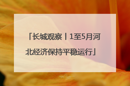 长城观察丨1至5月河北经济保持平稳运行