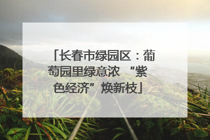 长春市绿园区：葡萄园里绿意浓 “紫色经济”焕新枝