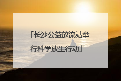 长沙公益放流站举行科学放生行动
