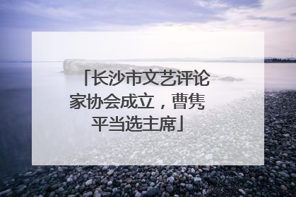 长沙市文艺评论家协会成立，曹隽平当选主席