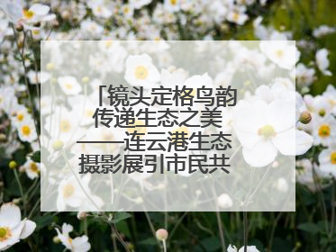 镜头定格鸟韵 传递生态之美——连云港生态摄影展引市民共赏自然之魅