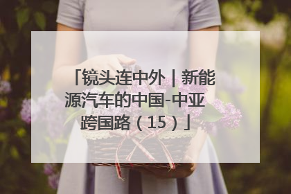 镜头连中外｜新能源汽车的中国-中亚跨国路（15）