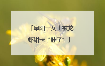 阜阳一女士被龙虾钳卡“脖子”