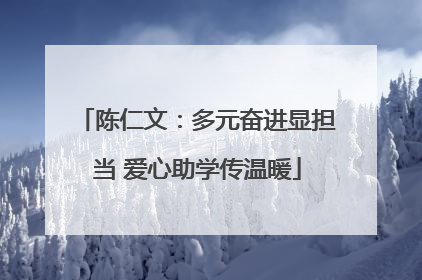 陈仁文：多元奋进显担当 爱心助学传温暖