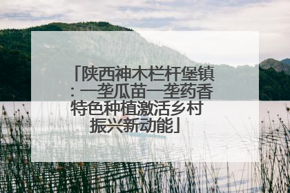 陕西神木栏杆堡镇：一垄瓜苗一垄药香 特色种植激活乡村振兴新动能