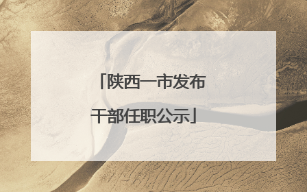 陕西一市发布干部任职公示