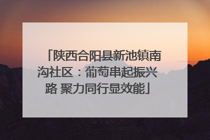 陕西合阳县新池镇南沟社区：葡萄串起振兴路 聚力同行显效能