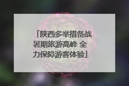 陕西多举措备战暑期旅游高峰 全力保障游客体验
