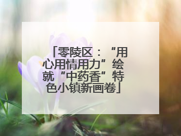 零陵区：“用心用情用力”绘就“中药香”特色小镇新画卷