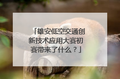 雄安低空交通创新技术应用大赛初赛带来了什么？