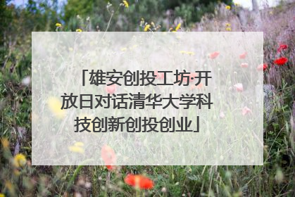 雄安创投工坊·开放日对话清华大学科技创新创投创业