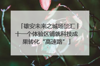 雄安未来之城场景汇丨十一个体验区铺就科技成果转化“高速路”