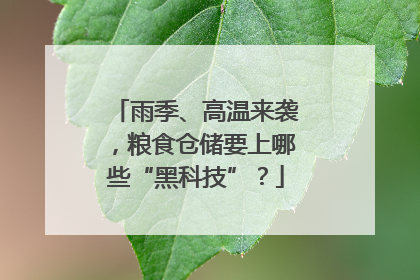 雨季、高温来袭，粮食仓储要上哪些“黑科技”？