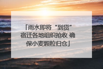 雨水即将“到货” 宿迁各地组织抢收 确保小麦颗粒归仓