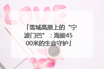 雪域高原上的“宁波门巴”：海拔4500米的生命守护