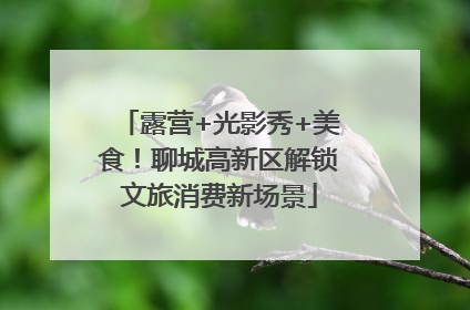 露营+光影秀+美食！聊城高新区解锁文旅消费新场景