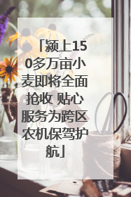 颍上150多万亩小麦即将全面抢收 贴心服务为跨区农机保驾护航