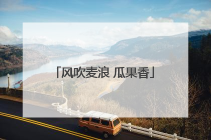 风吹麦浪 瓜果香