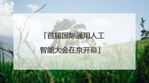 首届国际通用人工智能大会在京开幕