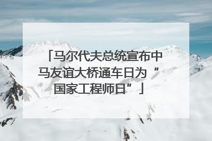 马尔代夫总统宣布中马友谊大桥通车日为“国家工程师日”
