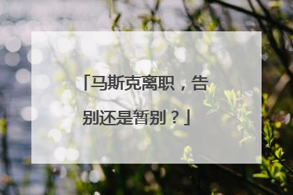 马斯克离职，告别还是暂别？