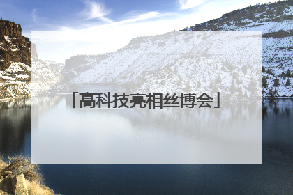 高科技亮相丝博会