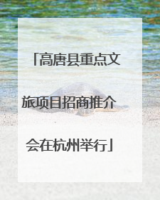 高唐县重点文旅项目招商推介会在杭州举行