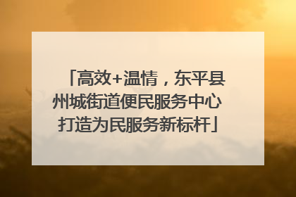 高效+温情，东平县州城街道便民服务中心打造为民服务新标杆