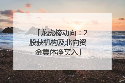龙虎榜动向：2股获机构及北向资金集体净买入