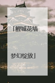 鲤城花墙 梦幻绽放