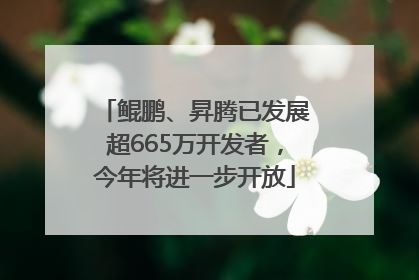 鲲鹏、昇腾已发展超665万开发者，今年将进一步开放