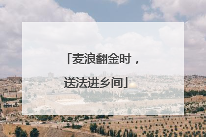 麦浪翻金时，送法进乡间