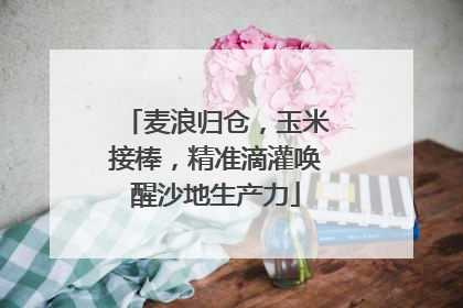 麦浪归仓，玉米接棒，精准滴灌唤醒沙地生产力