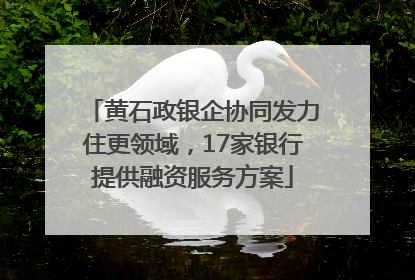 黄石政银企协同发力住更领域，17家银行提供融资服务方案