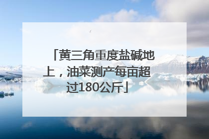 黄三角重度盐碱地上，油菜测产每亩超过180公斤