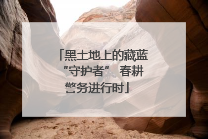 黑土地上的藏蓝“守护者” 春耕警务进行时
