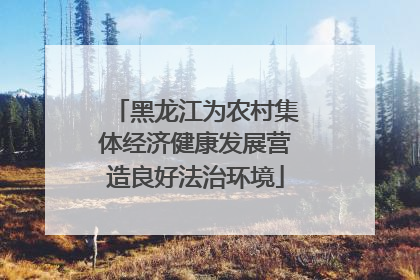 黑龙江为农村集体经济健康发展营造良好法治环境